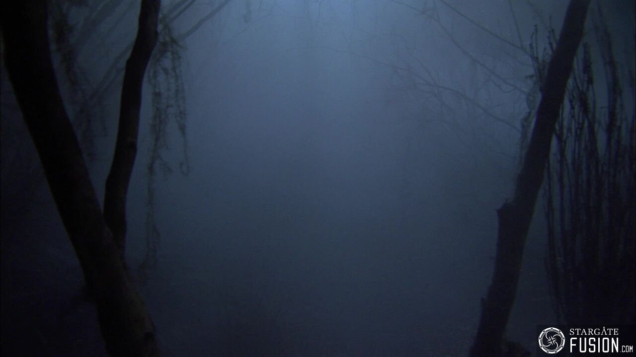 Les démons de la brume