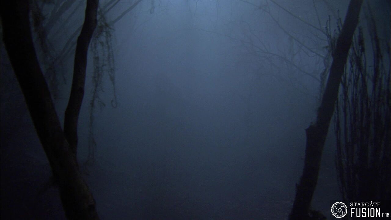 Les démons de la brume