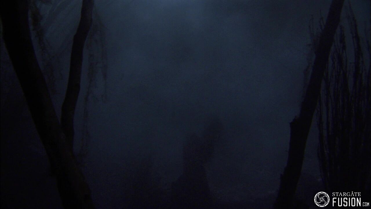Les démons de la brume