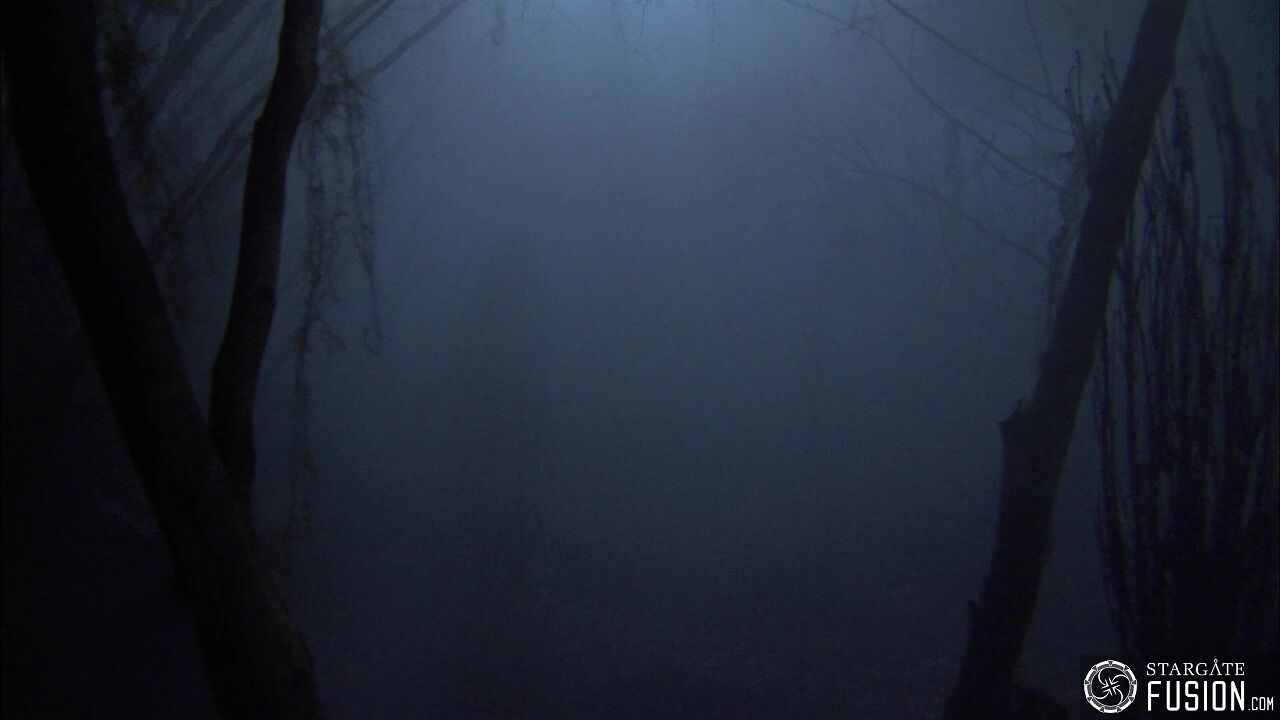 Les démons de la brume