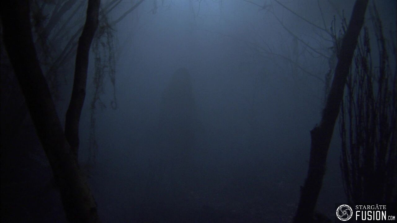 Les démons de la brume