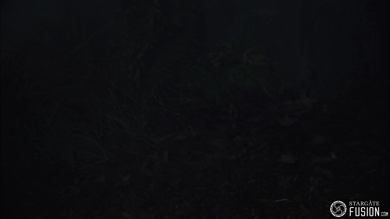 Les démons de la brume