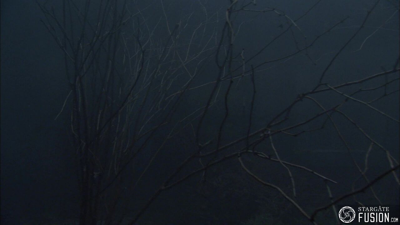 Les démons de la brume