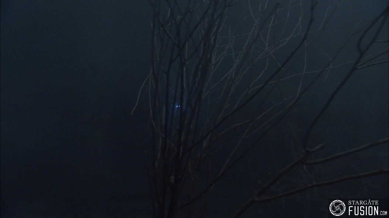 Les démons de la brume