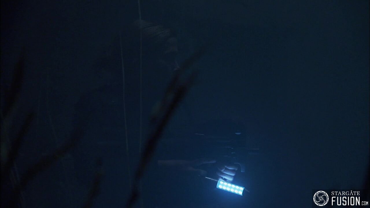 Les démons de la brume