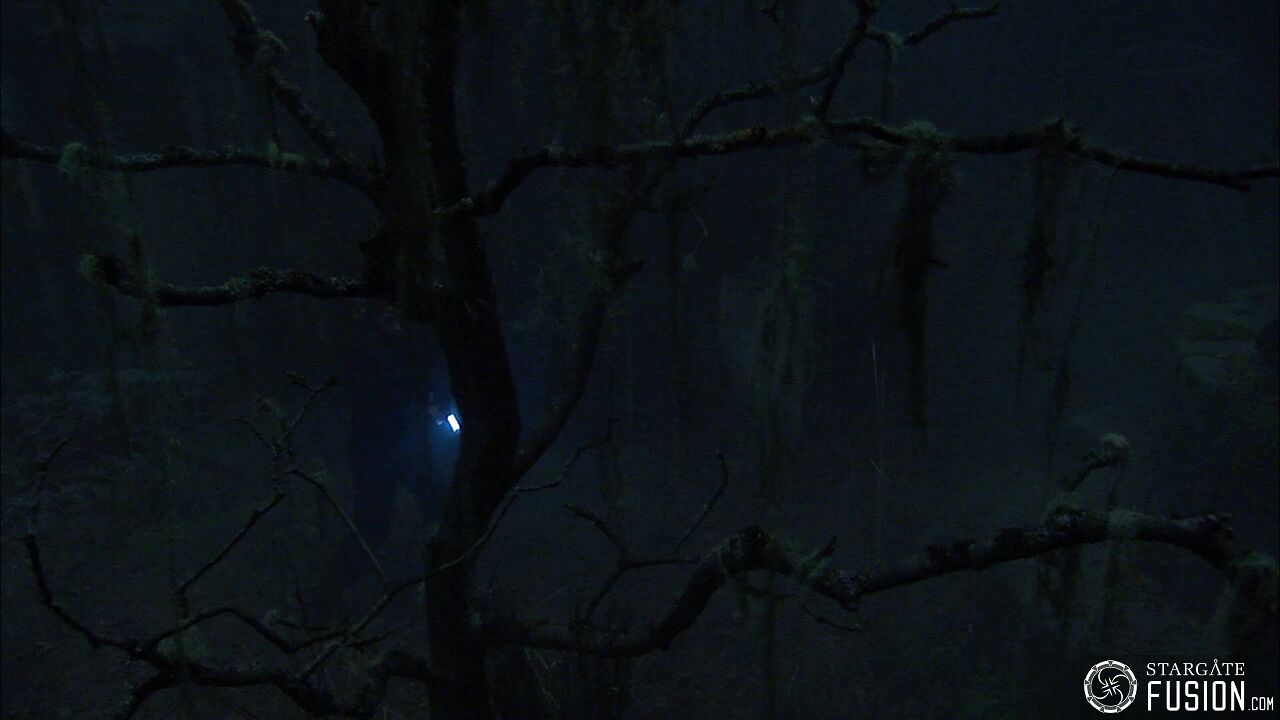 Les démons de la brume