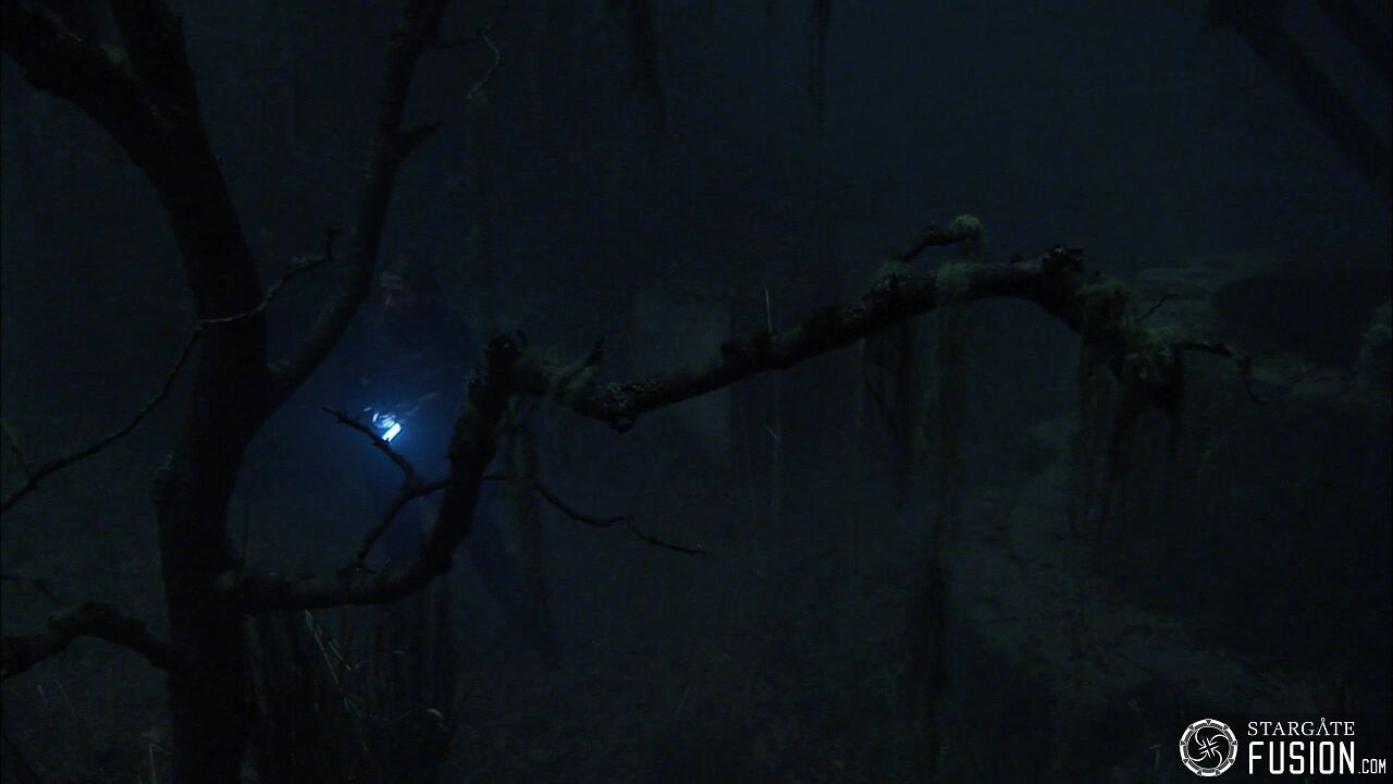 Les démons de la brume