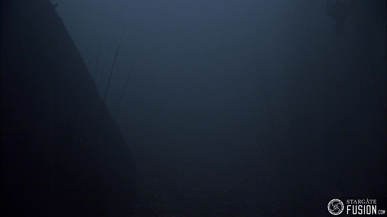 Les démons de la brume