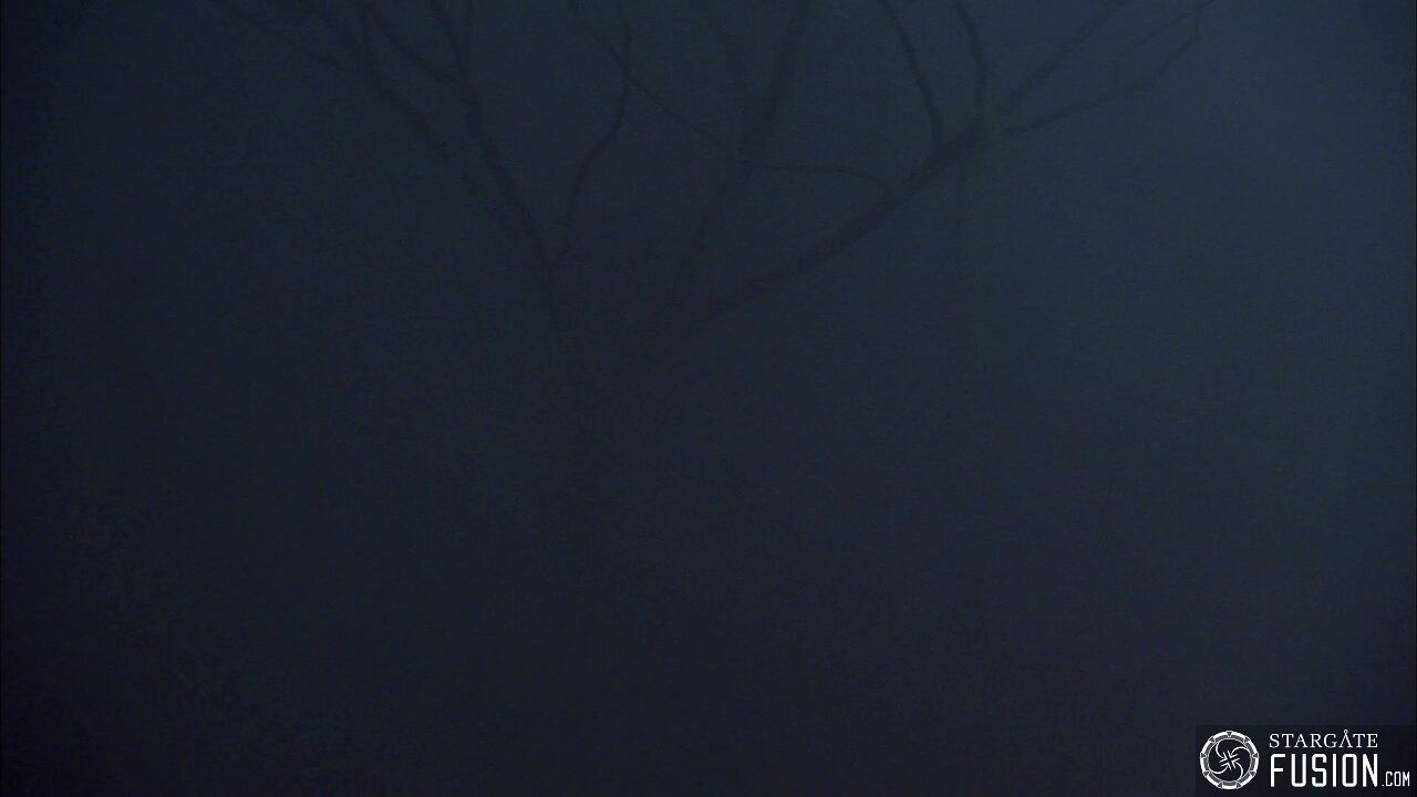 Les démons de la brume
