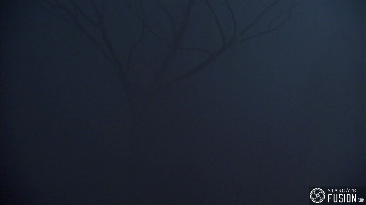 Les démons de la brume