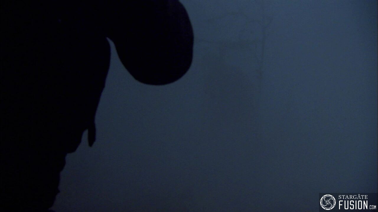 Les démons de la brume