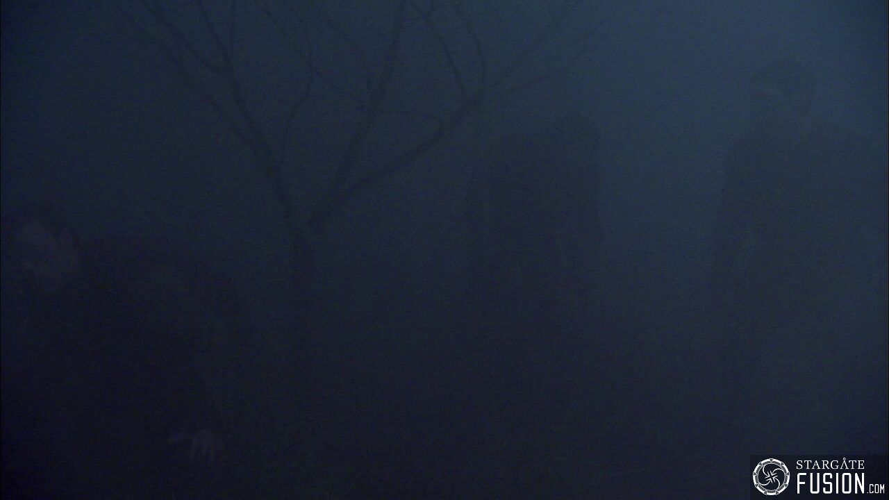 Les démons de la brume
