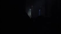 Les démons de la brume