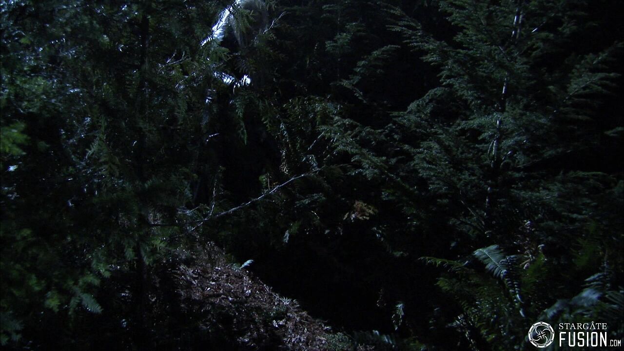 Jeu de piste