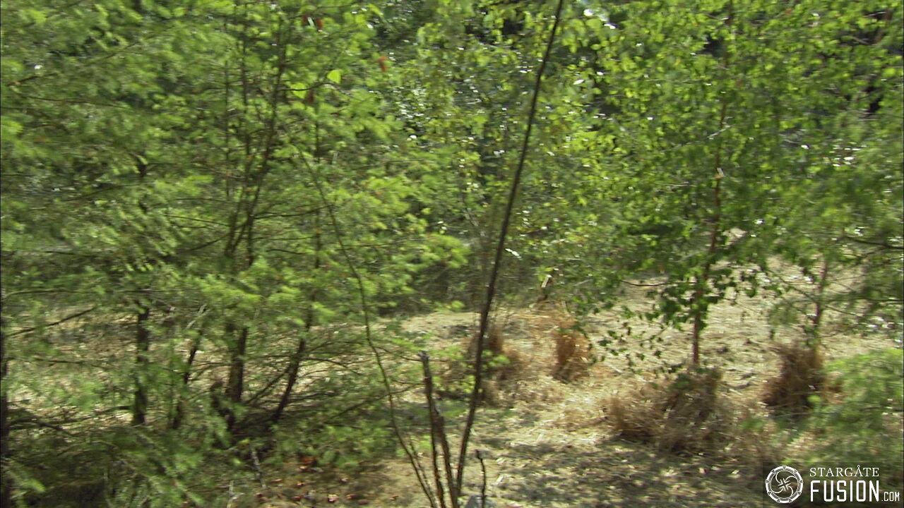 Les Sekkaris