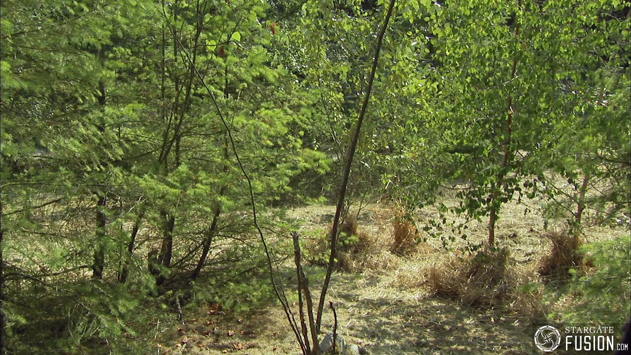 Les Sekkaris