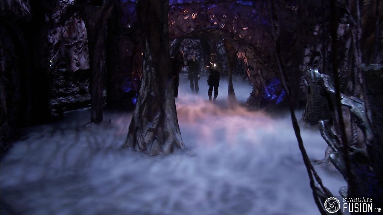 Entre la vie et la mort