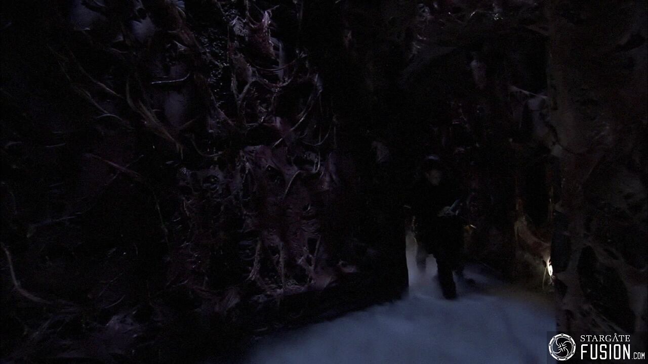 Entre la vie et la mort