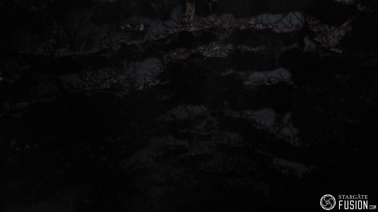 Entre la vie et la mort