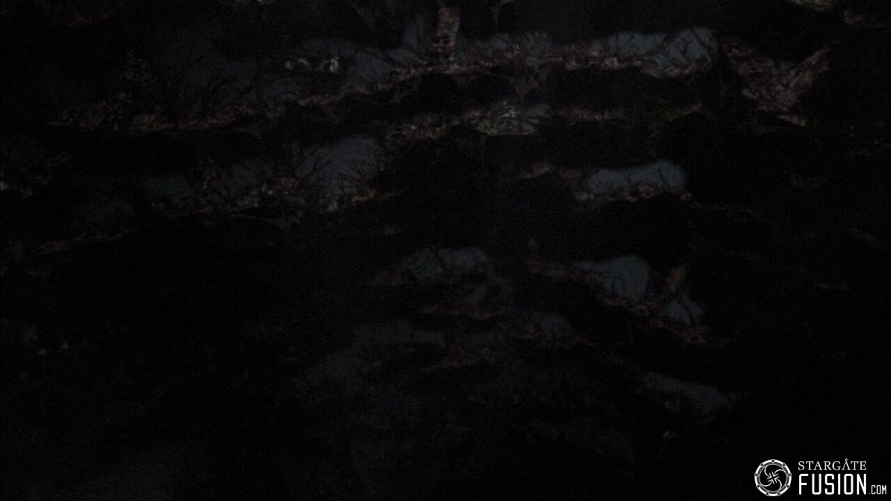 Entre la vie et la mort