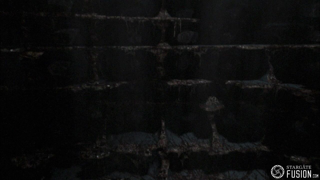 Entre la vie et la mort