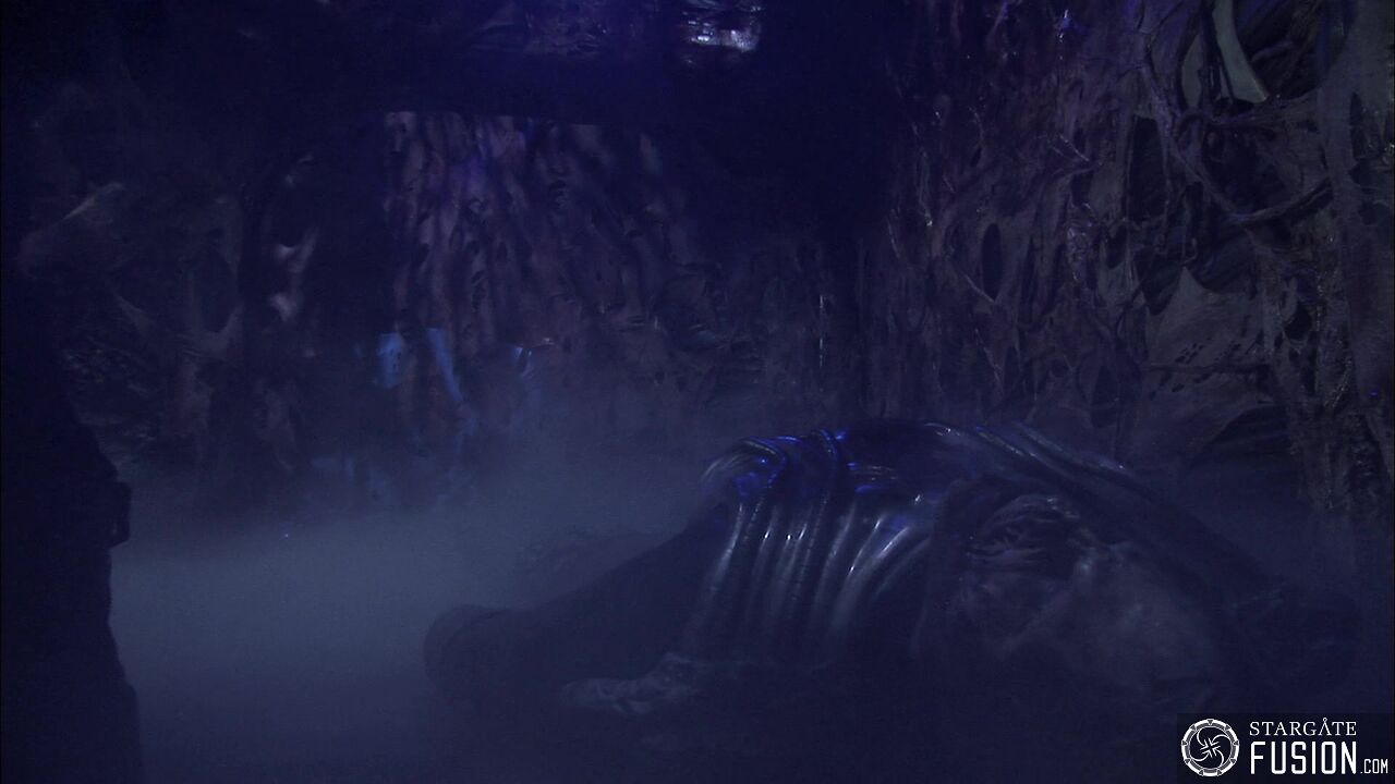 Entre la vie et la mort