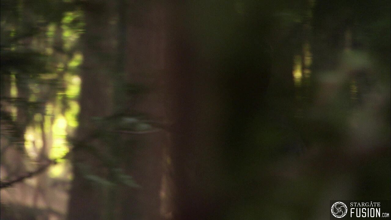 Identité