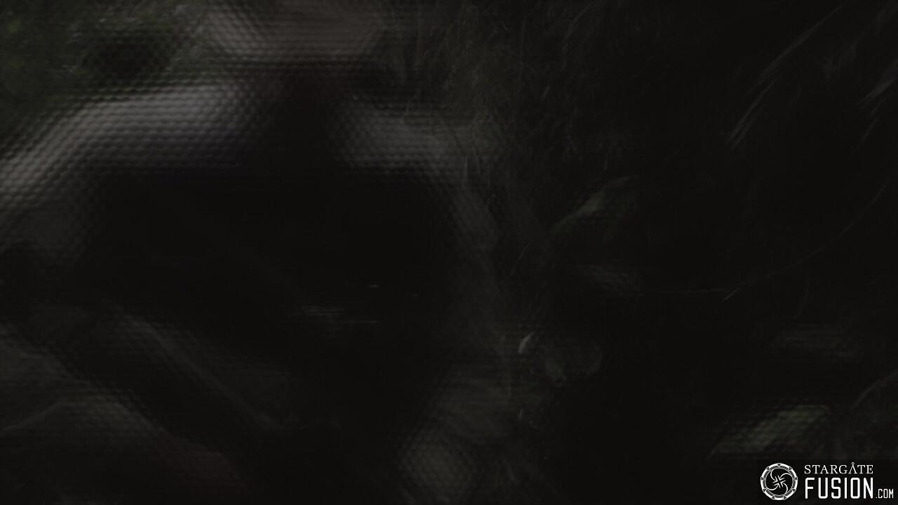 Les naufragés du temps