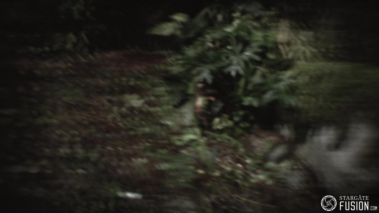 Les naufragés du temps