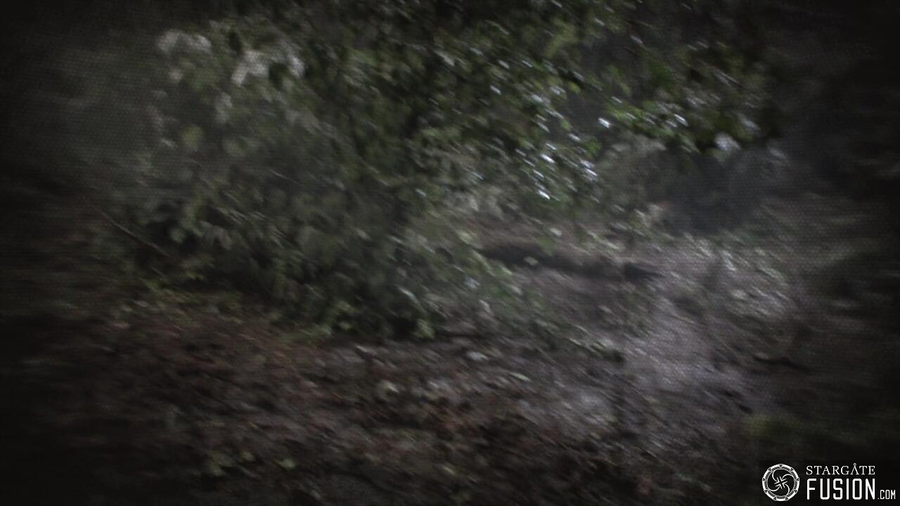 Les naufragés du temps