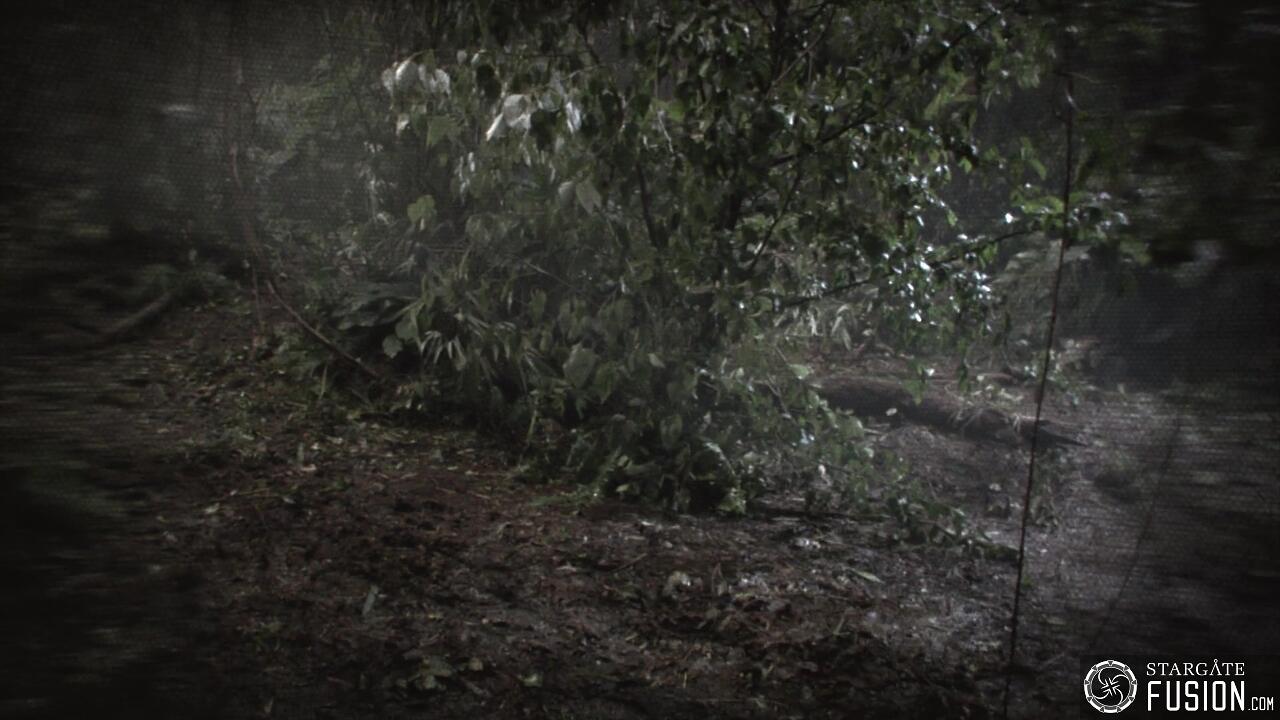 Les naufragés du temps