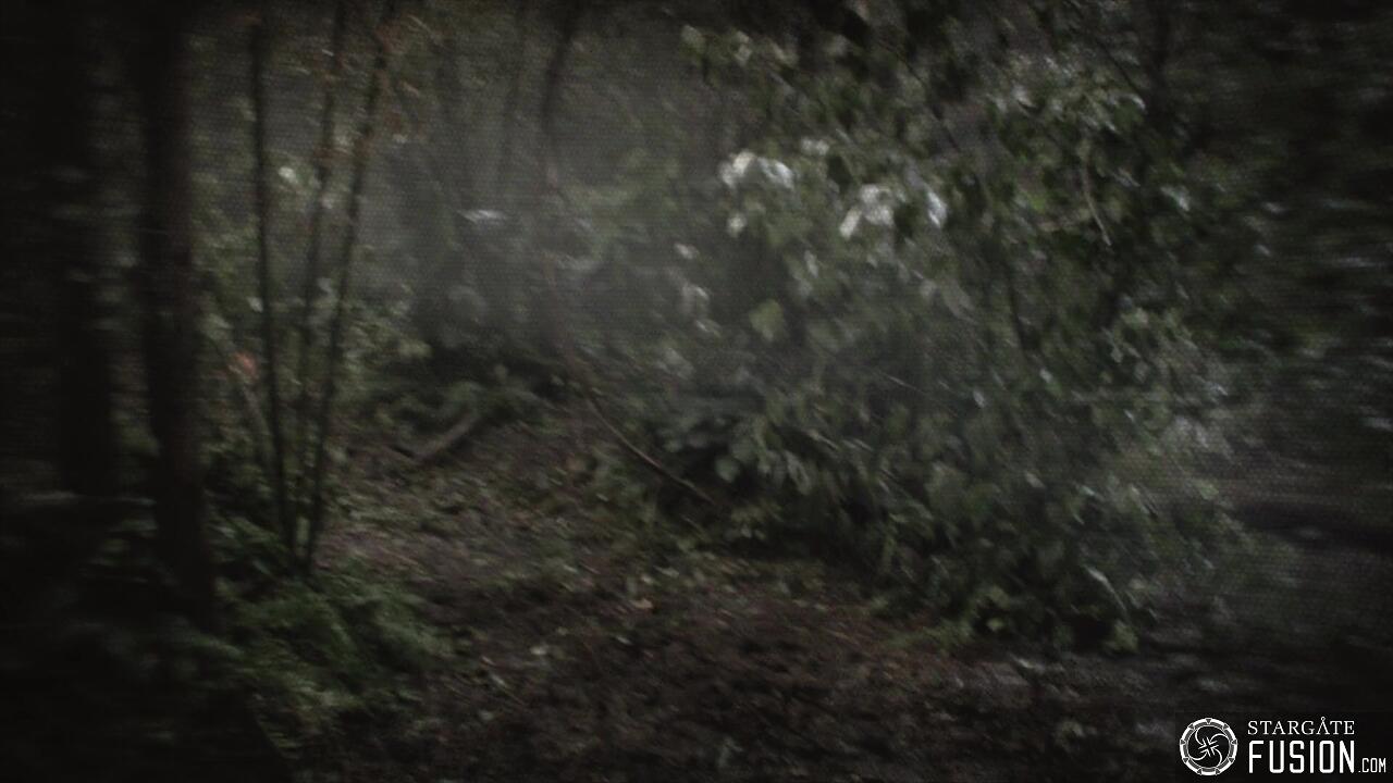 Les naufragés du temps