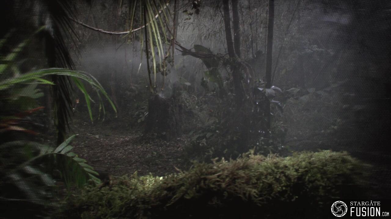 Les naufragés du temps