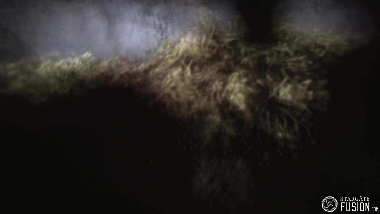 Les naufragés du temps