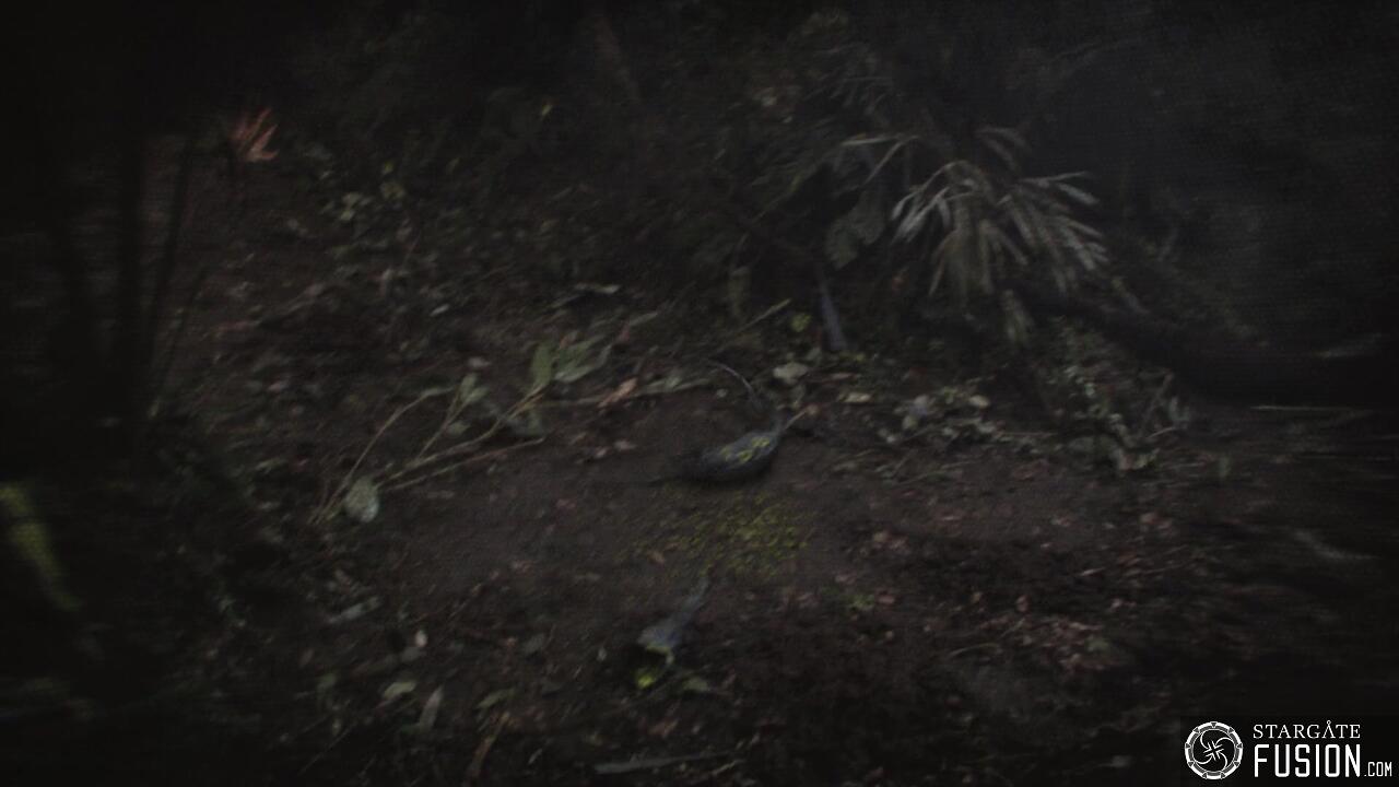 Les naufragés du temps