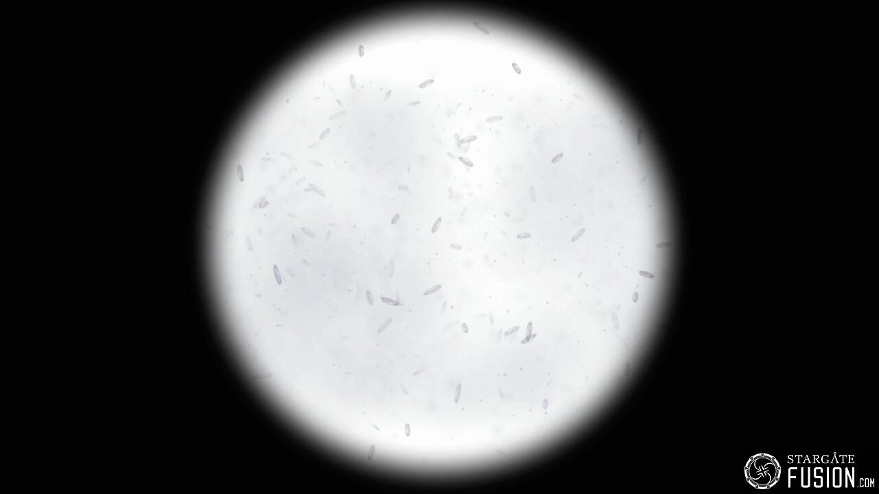 Les naufragés du temps