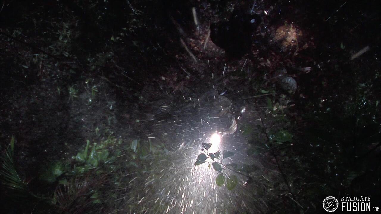 Les naufragés du temps