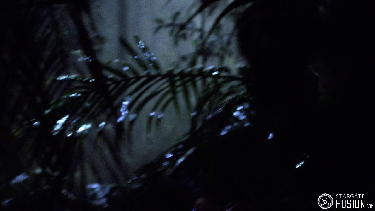 Les naufragés du temps