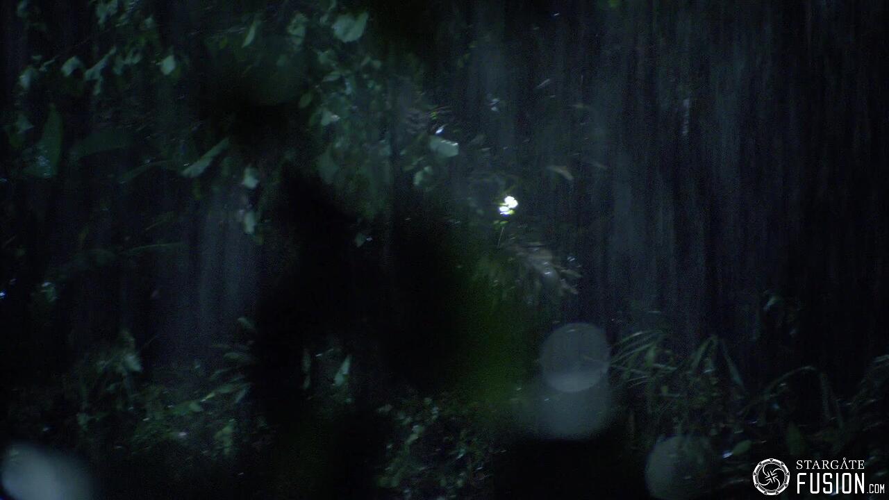 Les naufragés du temps