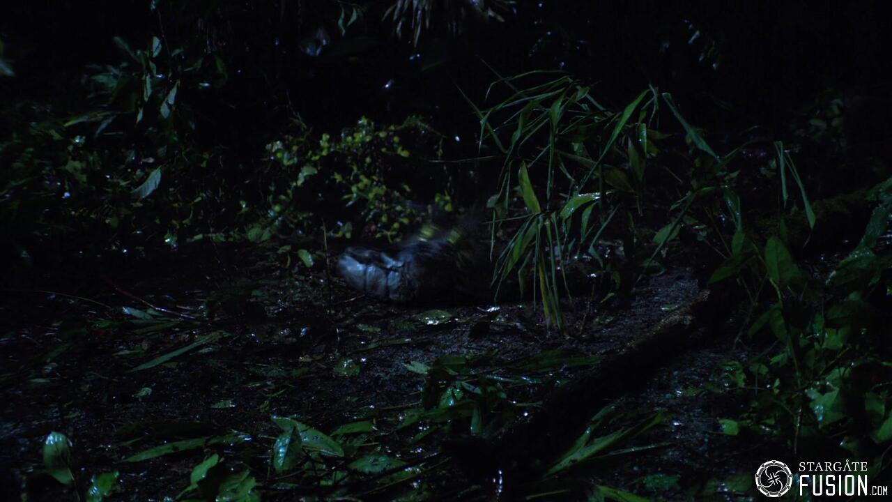 Les naufragés du temps