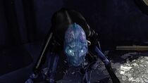 Premier contact