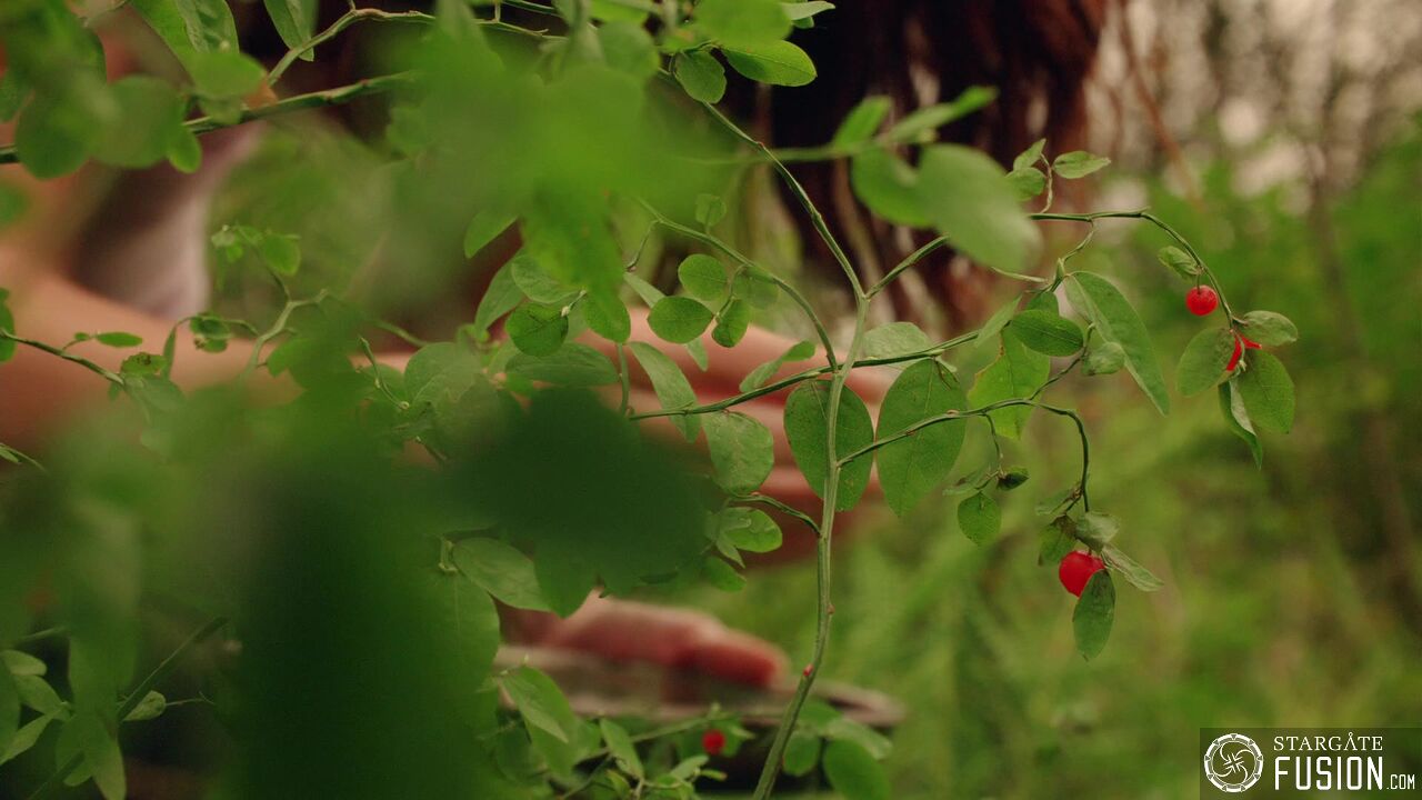 Eden