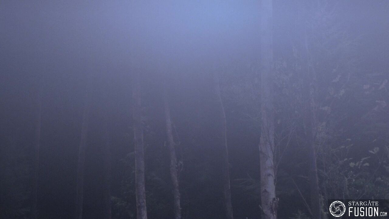 Seuls au monde