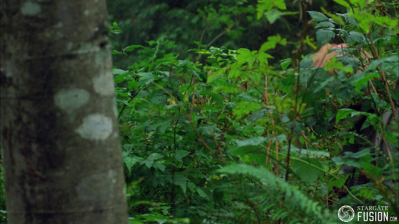Retour d'Eden