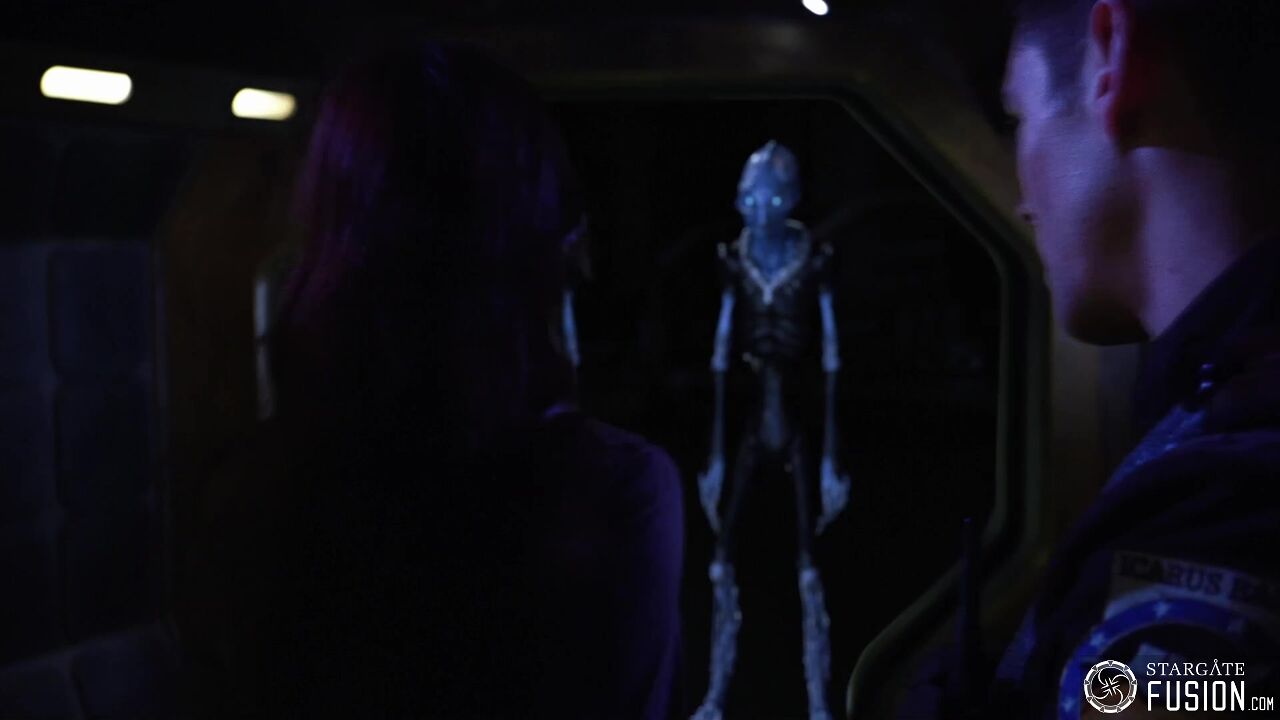 Confrontation 2/2