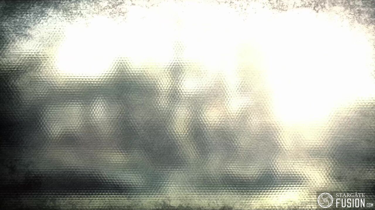 Novus