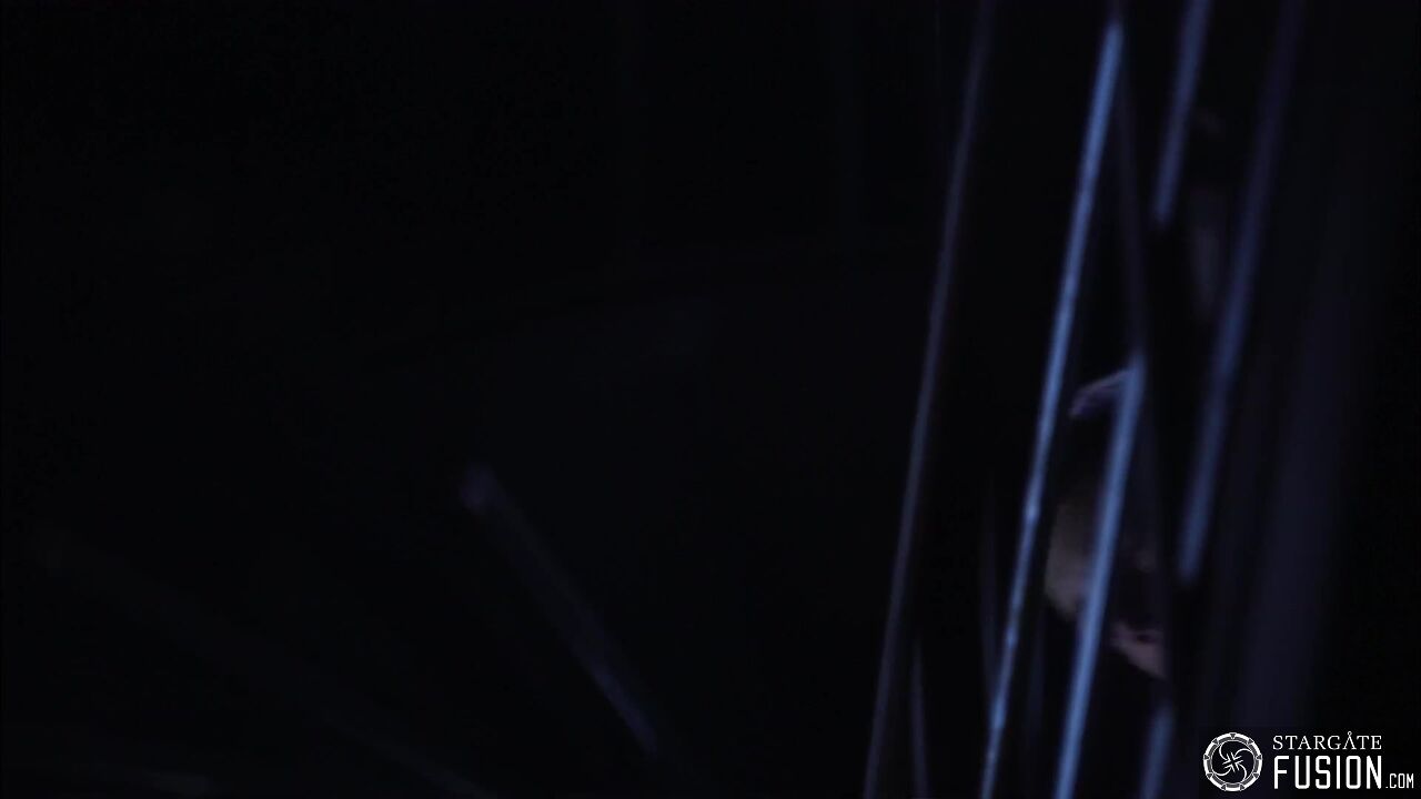 Novus