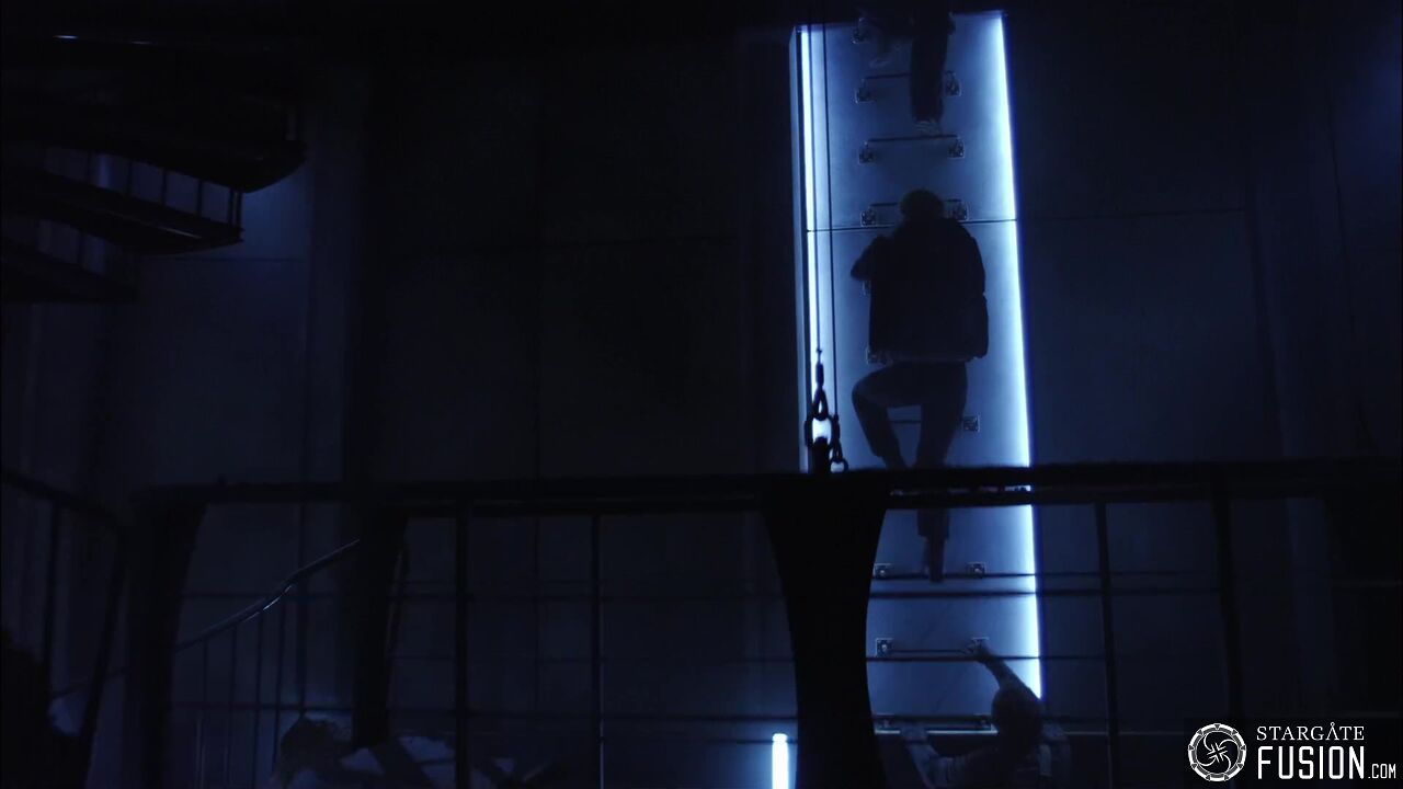 Novus
