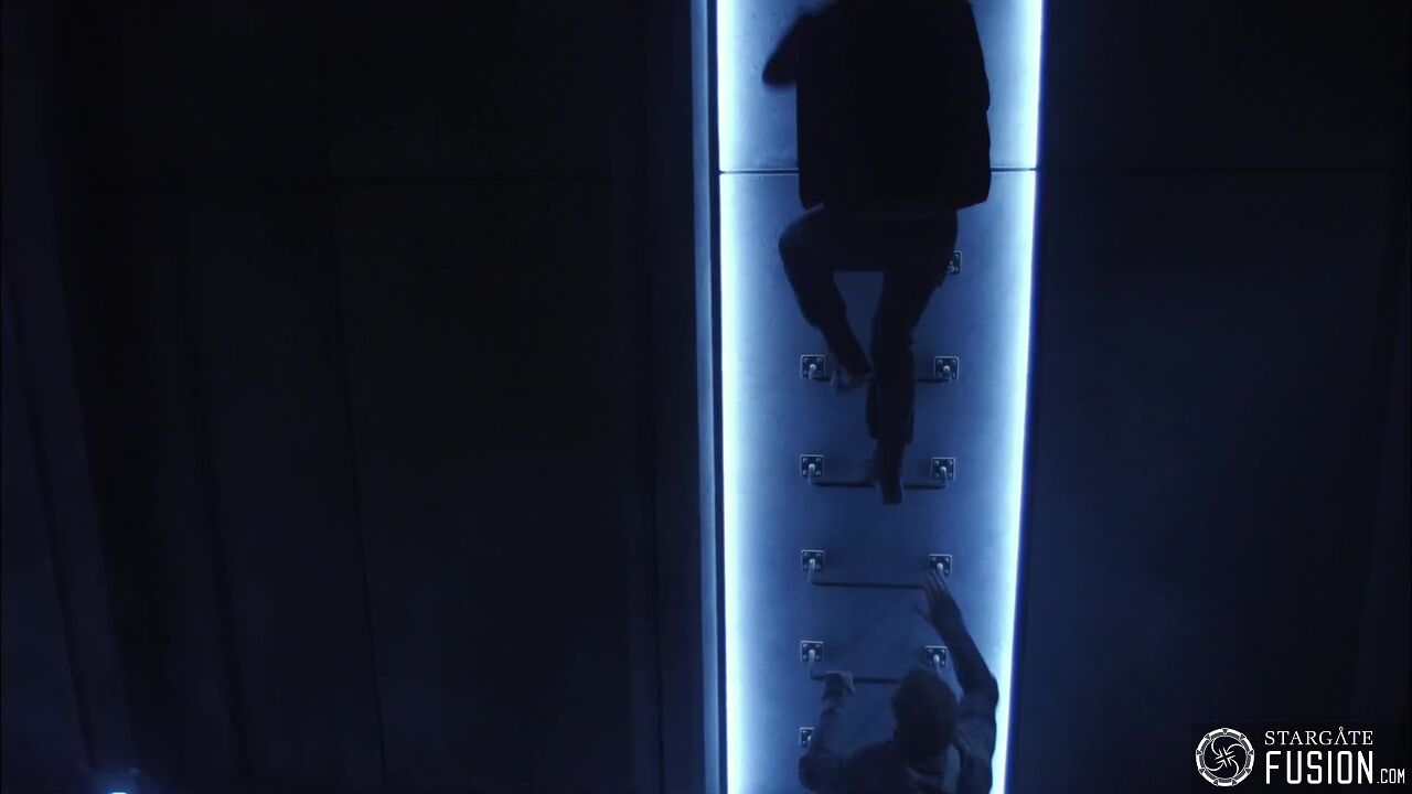 Novus