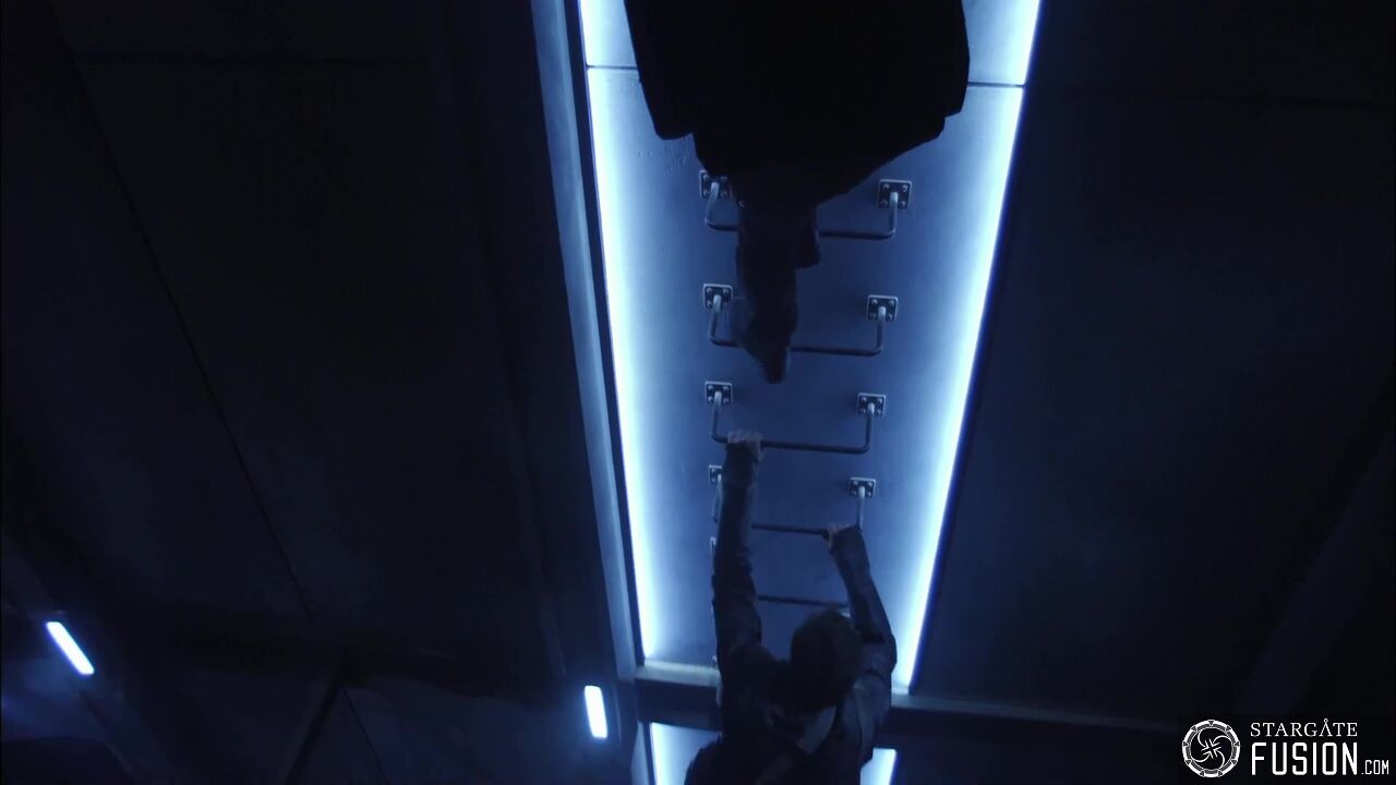 Novus